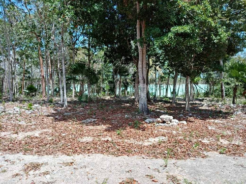 Imagen 7 de 18 de Terreno En Venta Frente A Laguna Chile Verde Cerca De Chetumal Em02021