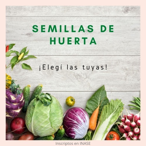 Imagen 1 de 3 de Pack De Semillas Huerta Y Aromáticas - Elegí Las Que Quieras