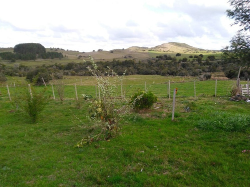Campo Agricola Ganadero Sobre Ruta 13 A 5 Kilómetros De Aigua - Ref: 1049