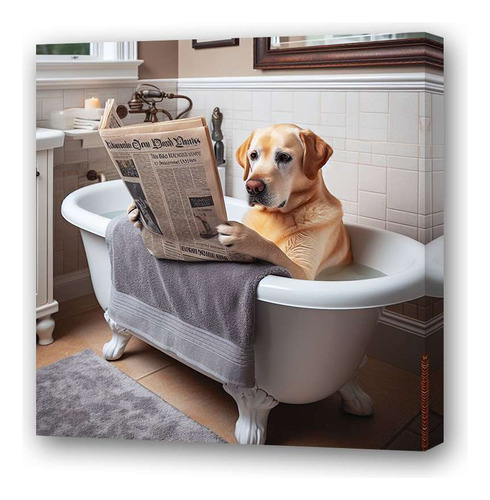 Cuadro 60x60cm Labrador Leyendo El Diario En El Baño