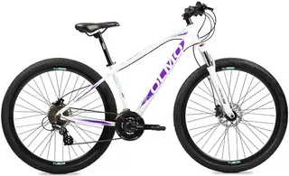 Bicicleta Olmo Safari 295 Hidráulico 24v R29 Dama Plan