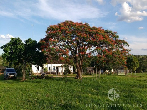 Imagem 14 de 30 de Vendo Ótima Fazenda Com 2337,00 Ha Em Buritizeiro, Norte De Minas Gerais, Gado E Cultura, Muita Água, Toda Formada. Documentação Ok. - Fa00004 - 4483814