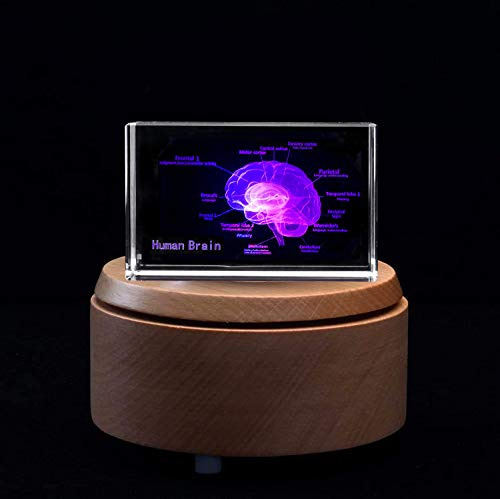 Cubo Cristal Con Modelo Anatómico De Cerebro 3d (grabado