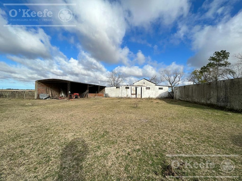 Imagen 13 de 26 de 100 Has En Punta Indio - Excelente Acceso - Ideal Haras!
