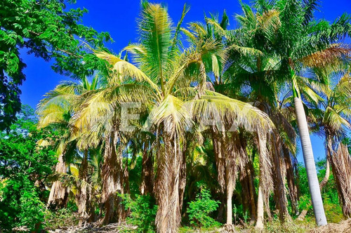 The Crown Jewel At Las Animas, San Jose Del Cabo, Mls #23-131