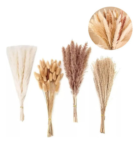 110 Peças De Capim-dos-pampas Secos Para Decoração De Casame