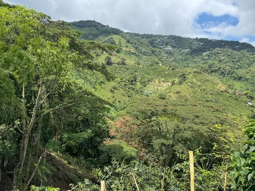 Hermosísima Finca Para Inversión