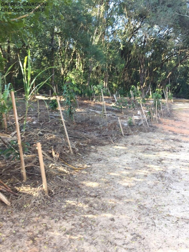 Imagem 15 de 16 de Vendo Sítio Em Salto De Pirapora/sp - Bairro Capão Redondo Sítio Com 81.000 M² / 3,3 Alqueires - Sítio Escriturado. - St00003 - 69888597