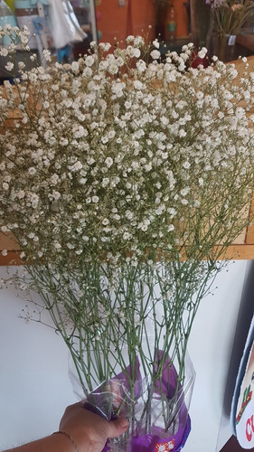 Imagen 4 de 5 de Floreria Vara De Flores De Ilusion