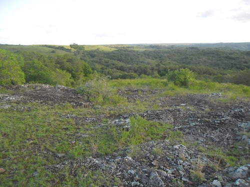 Campo En Venta
