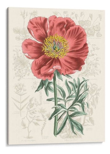 Canvas Lab Cuadro Peony Flower Garden Iv 90x120