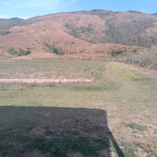 Terreno Agrícola De 8 Hectáreas En Nirgua Socc
