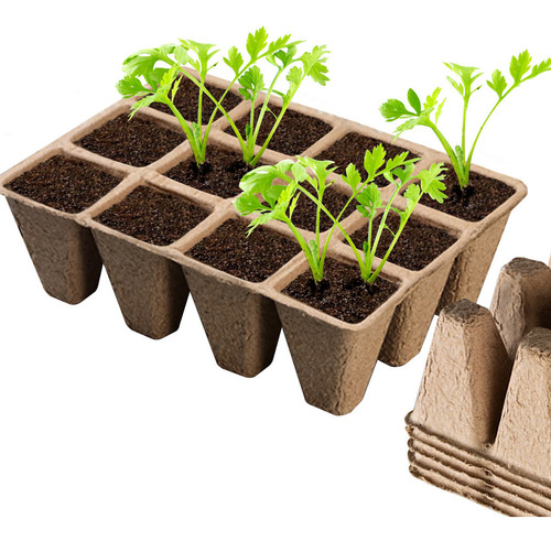 Macetas Para Plantas De Interior, Maceta De Vivero