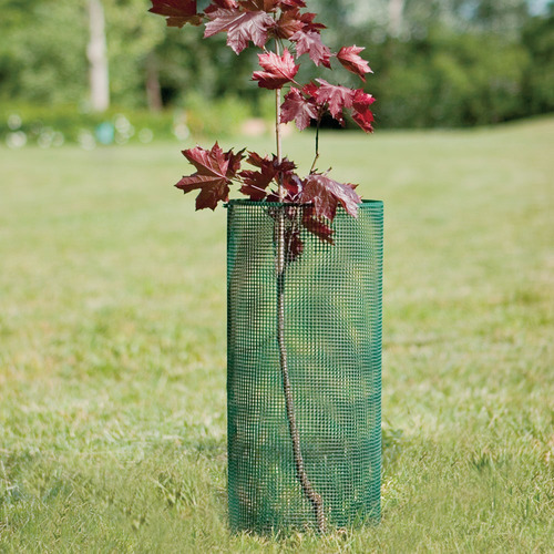 Malla Cuadrada Plastica (multi-usos) Verde Oscuro