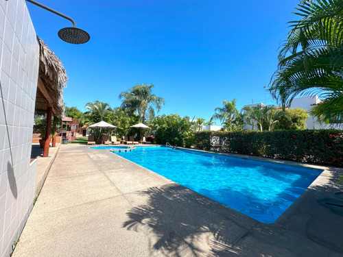 Casa Flamingos Blue