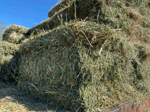 Fardos De Alfalfa