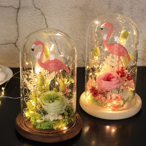 W Cubierta De Exhibición Para Plantas Y Flores De Campana 2x