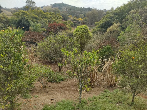 Imagem 24 de 30 de Linda Chácara Com 5 Dormitórios, Piscina, Área Gourmet, Córrego, Pomar, À Venda, 2230 M² Por R$ 500.000 - Rural - Socorro/sp - Ch1042