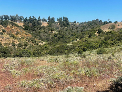 Sitio En Venta En Quintero