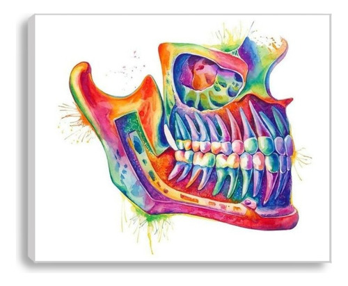 Cuadro Decorativo Para Consultorio Dental De 55x65 Cm