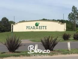 Imagen 1 de 6 de Gran Lote Interno Dentro Del Barrio Pilar Del Este - Santa Lucía