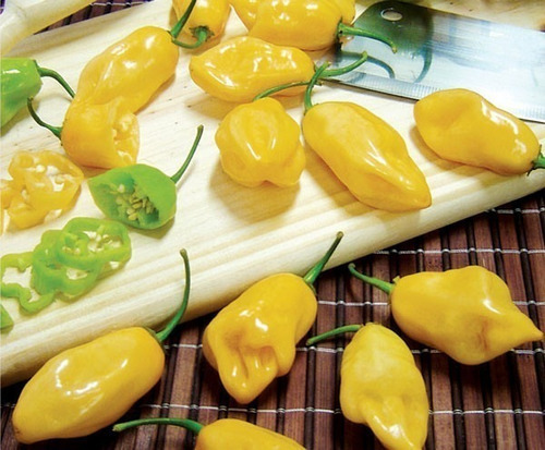Pimenta Cheiro Do Norte Capsicum Sementes Para Mudas