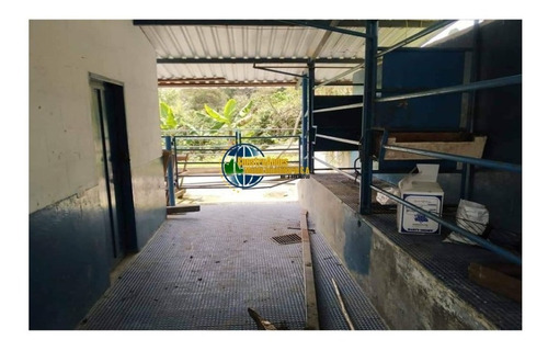 Imagen 5 de 10 de Finca Jaji