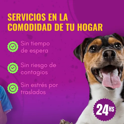 Veterinarios A Domicilio Oeste./sur/caba/ 24hs/eutanasias