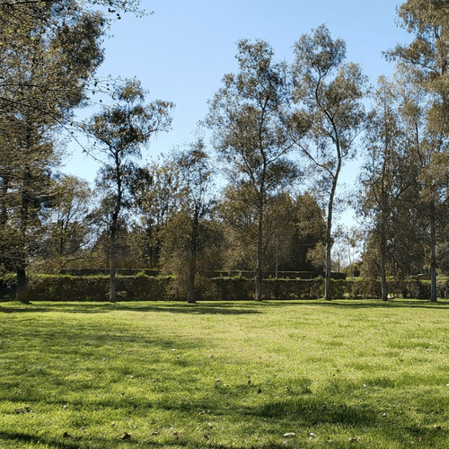 Imagen 8 de 13 de Lote/terreno De 12×31 Financia