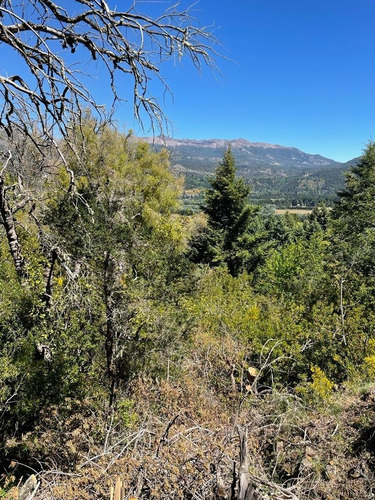 Imagen 3 de 18 de Lotes En Venta En Alihuen Alto, San Martin De Los Andes