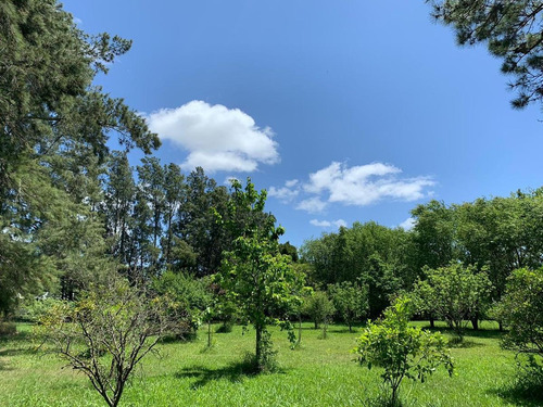 Imagen 13 de 30 de Campo En Venta En Bavio | Ruta 11 E/el Pino Y Km.42 (4,79 Has) Fracc.1