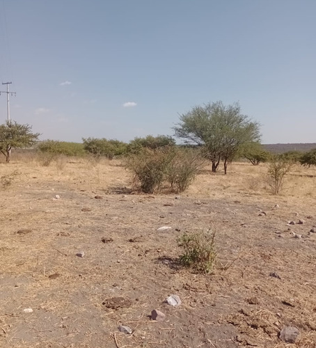 Se Venden Siete Hectáreas El Capulín Irapuato
