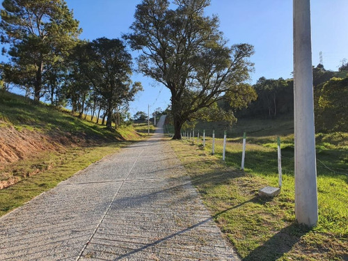 Terreno À Venda, 20000 M² Por R$ 580.000,00 - Pinheirinho - Atibaia/sp - Te0371