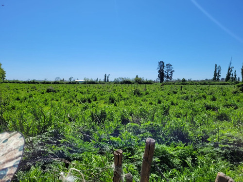 Terreno De 2,5 Há, En Cuñibal, Cercano A Los Ángeles
