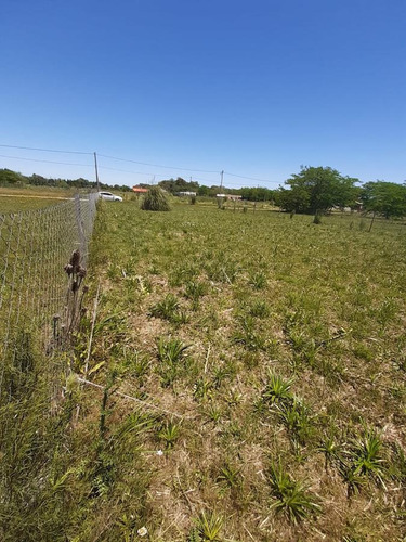Imagen 4 de 5 de Terreno - La Plata