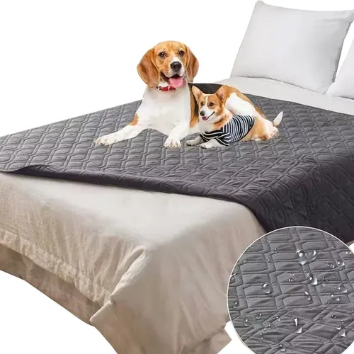 7 razones por las que necesitas una cama de perro con funda impermeable