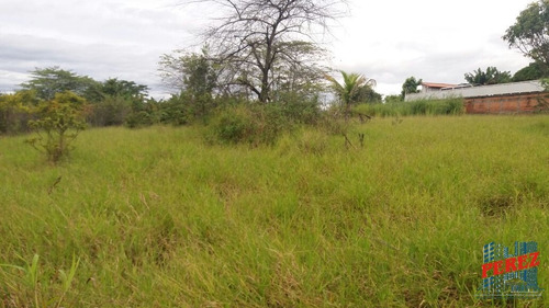 Imagem 13 de 20 de Chácaras_sítios_fazendas Para Venda - 13650.3925
