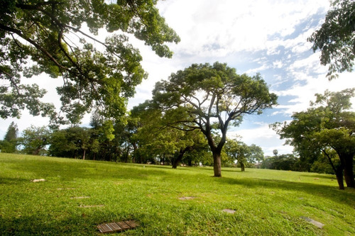 Imagem 6 de 7 de Jazigo Cemitério Parque Da Colina/bh Transf. Por Minha Conta