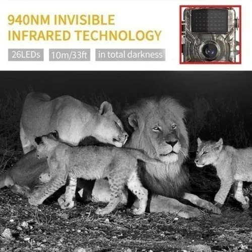 Cámara Ceva Full Hd1 De Hunting Night Trail
