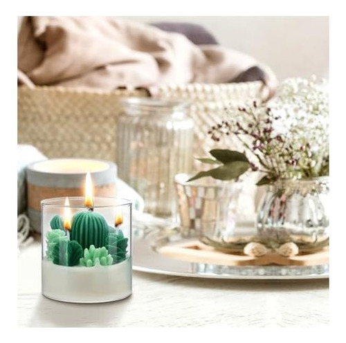 Regalo De Velas De Cactus Suculentes De Tondiamo, Velas De