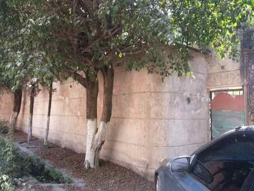Chiconcuac Terreno Plano, Bardeado Con Portón Estilo Rancho