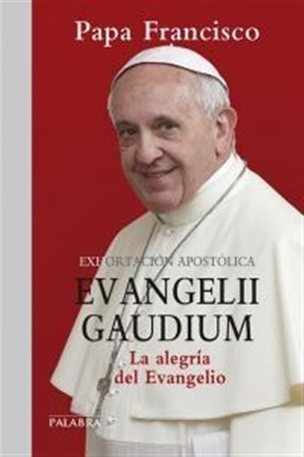 Evangelii Gaudium Exhortaciã¿n Apostã¿lica - Papa Francisco