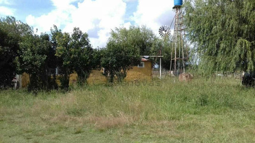 Imagen 13 de 15 de Venta Campo Mixto En Pergamino 27 Hectareas