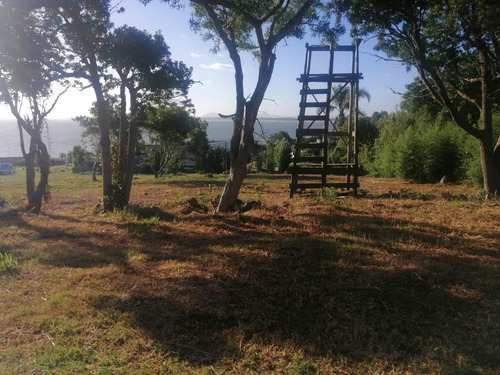 Terreno En Lomo De La Ballena 