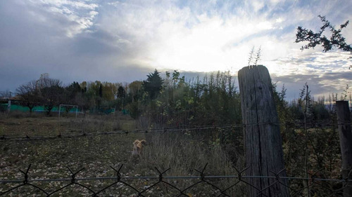 C21 López Vende Lote De 1707,75 M2. Luján De Cuyo.