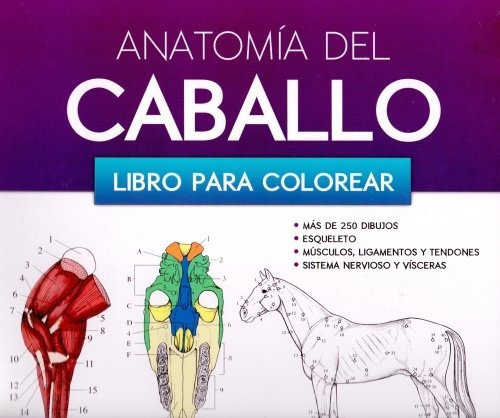 Anatomía Del Caballo Libro Para Colorear! | Envío gratis