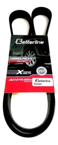 Correa Unica Ford Focus Zetec 2.0 6pk2095