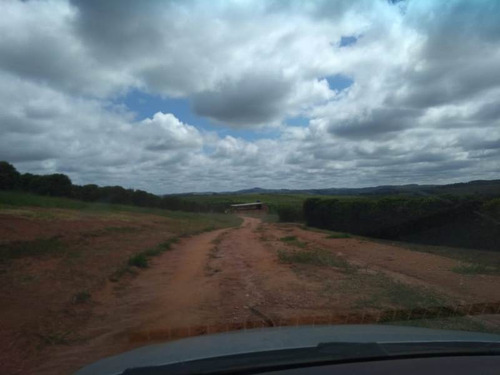 * Excelente Investimento Fazenda Com 390 Hectares * - 21342