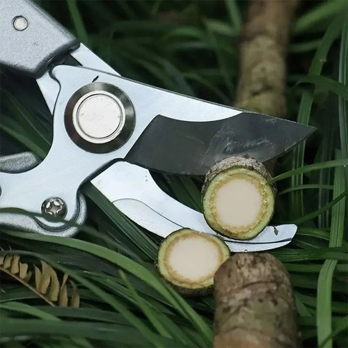 Tijeras Hortícolas Con Forma De Pico De Pájaro