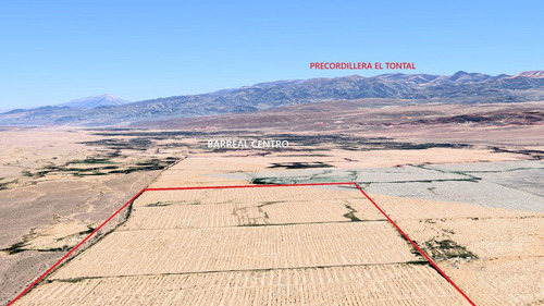 Venta Campo 134 Has En Finca Alamos, Barreal.